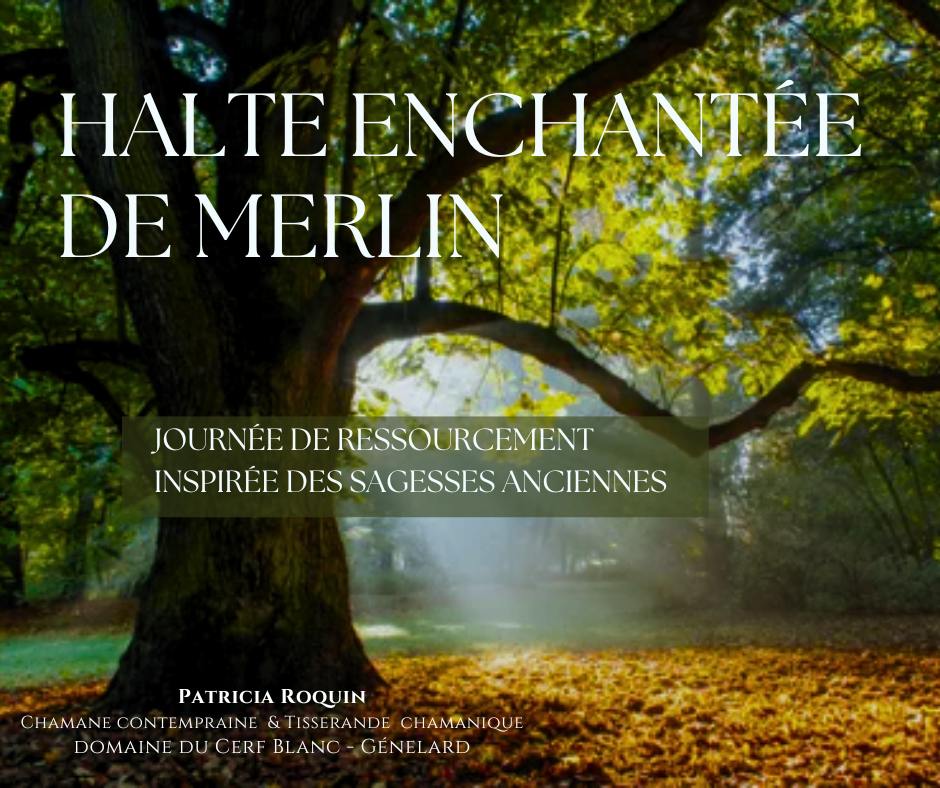 Journée Halte Enchantée à Génelard en Saône et Loire