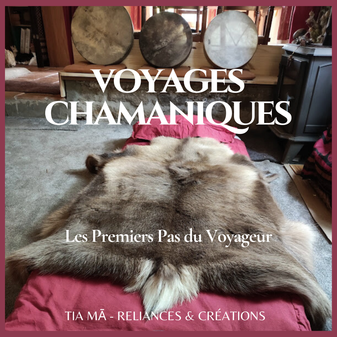 Initiation au voyages chamaniques à Génelard (71)
