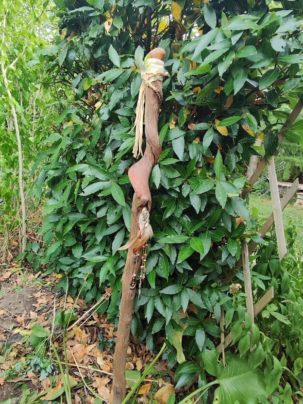 Tronc d’arbre spiralé, avec cristal au sommet, posé contre un bosquet.